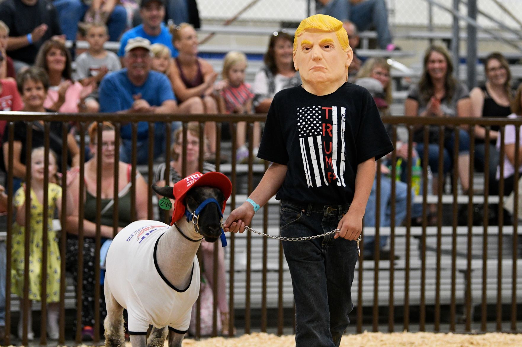 Animal Costume Parade